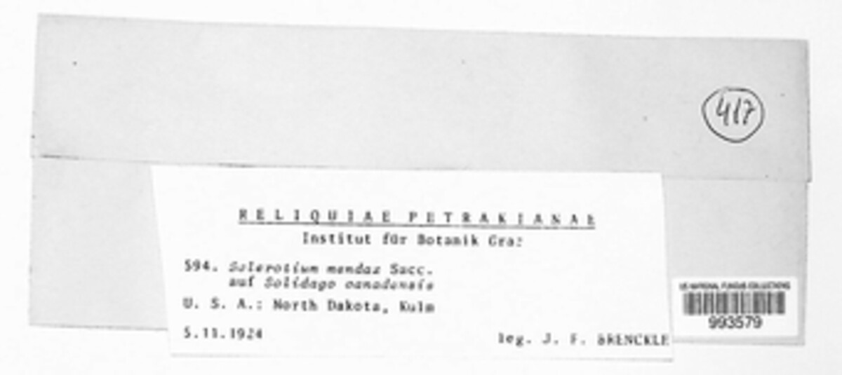 Sclerotium mendax image